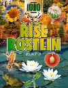 e rostlin - Farndon John