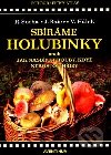 SBRME HOLUBINKY - Socha, Baier, Hlek