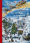 Co se dje o Vnocch - Anne Suessov