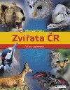 ZVATA R - Michael Fokt
