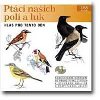 Ptci naich pol a luk - 
