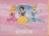 Desky na slice Princess (Disney Princezny) - Walt Disney