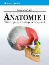 Anatomie 1. - Radomr ihk