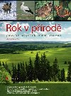Rok v prod - prvodce na prodou msc po msci - Mario Ludwig