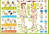 Karta Human Body and Appearance - Computer Media