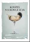 Koupel na konci lta - Zdenk Krl