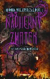 Kronika prokletch zaklna 3: Ndhern zmatek - Kami Garciov; Margaret Stohlov