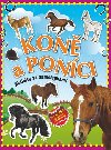 KON A PONCI - 