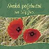 Irsk poehnn pro tvj ivot - 