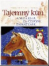 Tajemn k aneb Cesta za eskmi pamtkami - Martina Drijverov