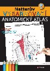 Netterv vybarvovac anatomick atlas - John T. Hansen