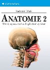Anatomie 2. - Radomr ihk