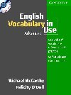 English Vocabulary in Use Advanced CD - McCarthy Michael