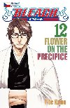 Bleach 12: Flower on the Precipice - Tite Kubo