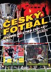 esk fotbal - Gambrinus liga a Pohr esk poty 2013/2014 - Petr Zapletal