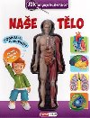 Nae tlo - Jak funguje lidsk tlo? - Infoa