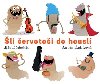 li ervotoi do housl - Ji Ddeek