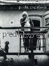 Ped obzorem - Pavla Jazairiov