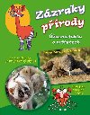 Zzraky prody - ھasn fakta o zvatech - Junior