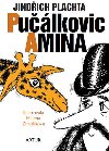 Pulkovic Amina - Jindich Plachta