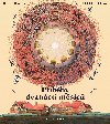 Pbhy dvancti msc - Josef Krek