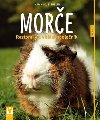 More - Roztomil a vitln spolenk - Immanuel Birmelin
