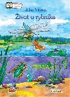 ivot u rybnka - Jitka Vtov