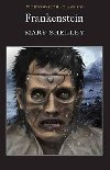 Frankenstein - Mary Shelley