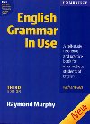 ENGLISH GRAMMAR IN USE 3ED W/A - Raymond Murphy