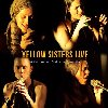 Yellow Sisters Live & Petr Wajsar Club Kino ernoice - Yellow Sisters