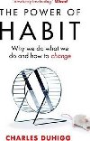 The Power of Habit : Why We Do What We Do, and How to Change - Duhigg Charles