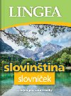 Slovintina slovnek - 