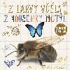 Z larvy vela, z housenky motl - ivotn cyklus - Svojtka