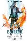 e bou - Sarah J. Maasov