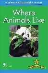 Macmillan Factual Readers 2+ Where Animals Live - Stones Brenda