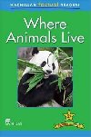 Macmillan Factual Readers 2+ Where Animals Live - Stones Brenda