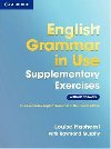 English Grammar in Use Supplementary Exercises without Answers - Hashemi Louise