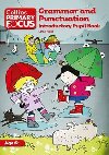 Grammar and Punctuation - Introductory Pupil Book - Fidge Louis