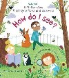 How Do I See? - Daynes Katie
