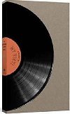A Record Of My Vinyl : A Collectors Catalog - Potter Clarkson