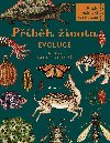 Pbh ivota - Fiona Munroov, Ruth Symonsov