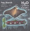 H2O a poklad lenho oka - Petr Stank