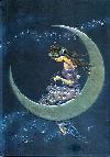 Notebook Moon Maiden by Jean and Ron Henry - Flame Tree