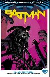 Batman J jsem sebevrada - Tom King; David Finch