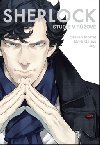 Sherlock Studie v rov - Steven Moffat