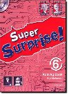 Super Surprise 6: Activity Book and MultiRomPack - Mohamed Sue