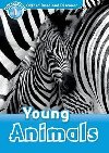 Oxford Read and Discover 1: Young Animals - Northcott Richard