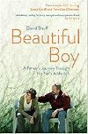 Beautiful Boy: A Father's Journey Through His Son's Addiction - David Sheff