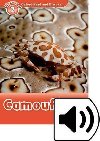 Oxford Read and Discover: Level 2: Camouflage Audio Pack - Khanduri Kamini