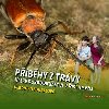 Pbhy z trvy - Veronika Souralov